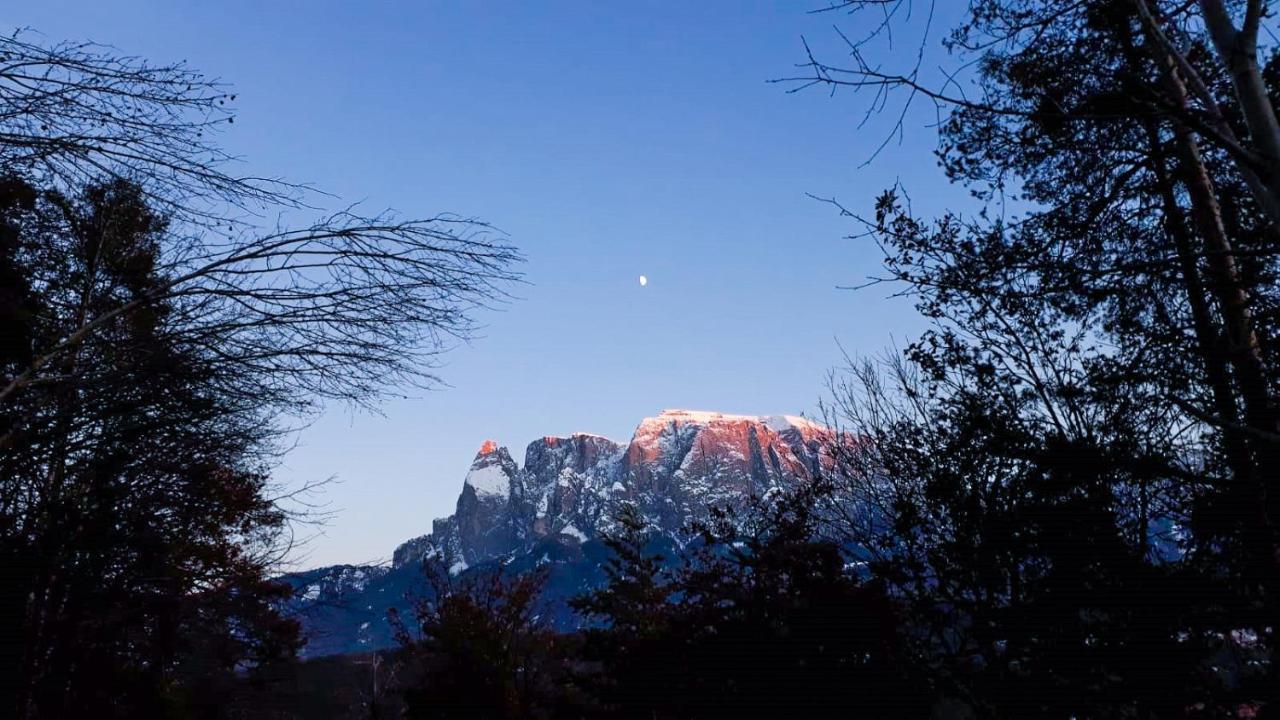Birbamergut Longostagno Dış mekan fotoğraf
