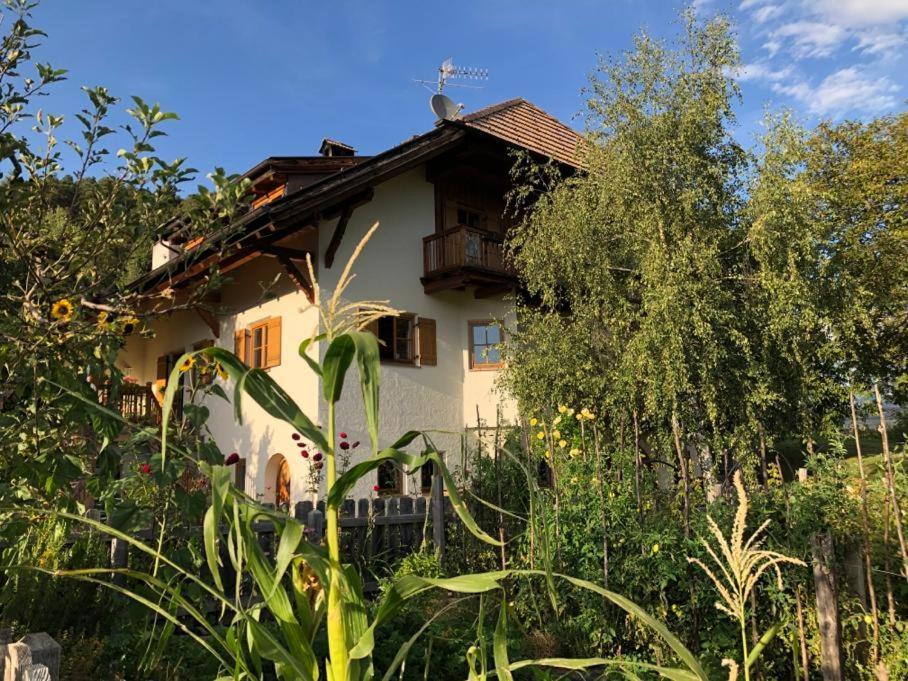 Birbamergut Longostagno Dış mekan fotoğraf